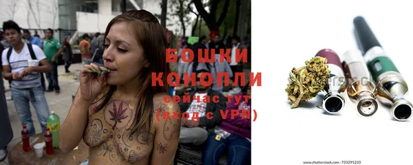 амф Козловка