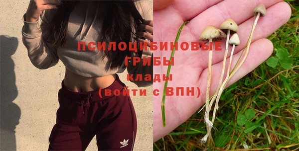 амф Козловка