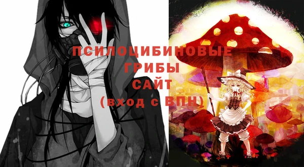 амф Козловка