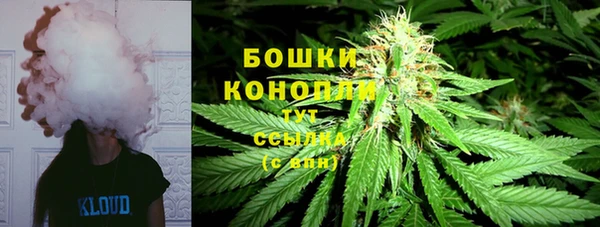 дмт Козельск