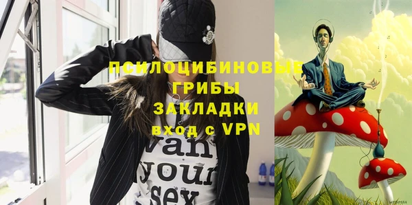дмт Козельск