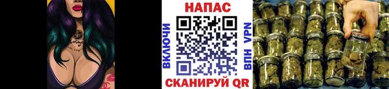 Купить  Барабинск  Каннабис SATIVA & INDICA 